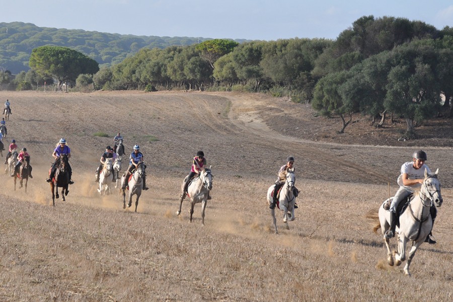 Countryside Image