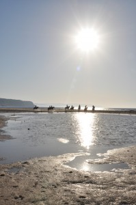 sunlight on water